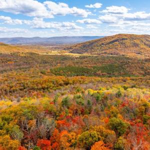 Photo #6 of BETHANY CHURCH LN, EDINBURG, VA 134.4 acres