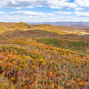 Photo #7 of BETHANY CHURCH LN, EDINBURG, VA 134.4 acres