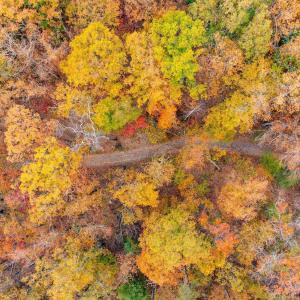 Photo #11 of BETHANY CHURCH LN, EDINBURG, VA 134.4 acres