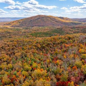 Photo #5 of BETHANY CHURCH LN, EDINBURG, VA 134.4 acres