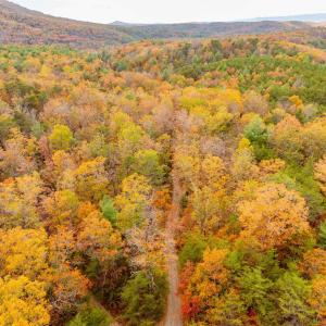 Photo #10 of BETHANY CHURCH LN, EDINBURG, VA 134.4 acres