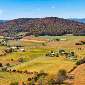 Photo #12 of BAUSERMAN RD, MOUNT JACKSON, VA 6.0 acres