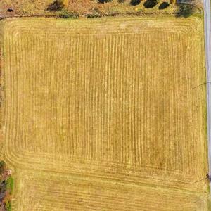 Photo #16 of BAUSERMAN RD, MOUNT JACKSON, VA 6.0 acres