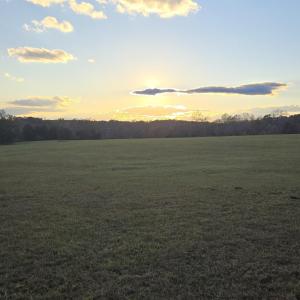 Photo #16 of 7634 SEMINOLE TRL, RUCKERSVILLE, VA 61.5 acres