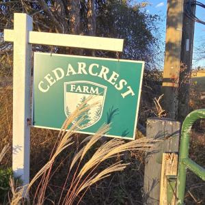 Photo #20 of 7634 SEMINOLE TRL, RUCKERSVILLE, VA 61.5 acres