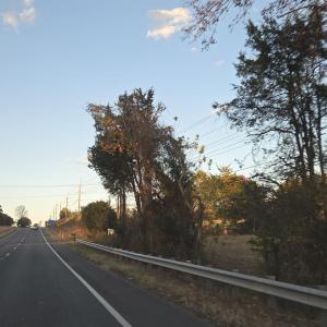 Photo #18 of 7634 SEMINOLE TRL, RUCKERSVILLE, VA 61.5 acres