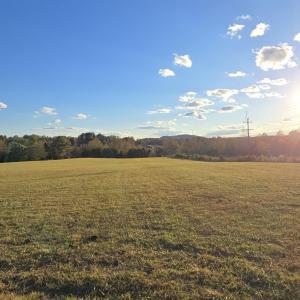 Photo #6 of 7634 SEMINOLE TRL, RUCKERSVILLE, VA 61.5 acres