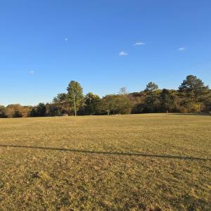 Photo #9 of 7634 SEMINOLE TRL, RUCKERSVILLE, VA 61.5 acres
