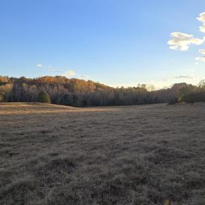 Photo #15 of 7634 SEMINOLE TRL, RUCKERSVILLE, VA 61.5 acres