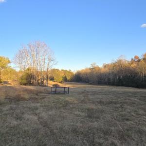 Photo #14 of 7634 SEMINOLE TRL, RUCKERSVILLE, VA 61.5 acres