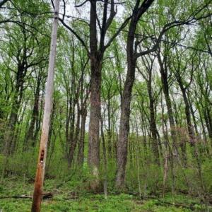 Photo #4 of GAYLE LN, FRONT ROYAL, VA 0.9 acres