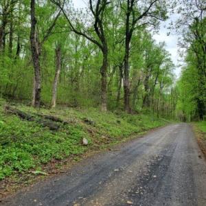 Photo #5 of GAYLE LN, FRONT ROYAL, VA 0.9 acres