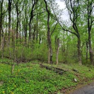 Photo #3 of GAYLE LN, FRONT ROYAL, VA 0.9 acres