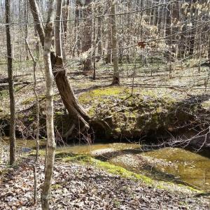 Photo #15 of 2647 PENNY LN, CHARLOTTESVILLE, VA 28.0 acres