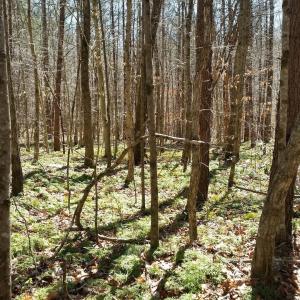 Photo #11 of 2647 PENNY LN, CHARLOTTESVILLE, VA 28.0 acres