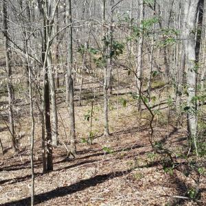 Photo #25 of 2647 PENNY LN, CHARLOTTESVILLE, VA 28.0 acres