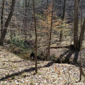 Photo #18 of 2647 PENNY LN, CHARLOTTESVILLE, VA 28.0 acres