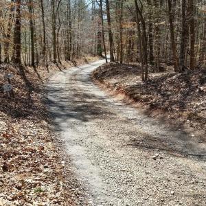 Photo #1 of 2647 PENNY LN, CHARLOTTESVILLE, VA 28.0 acres