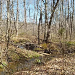 Photo #17 of 2647 PENNY LN, CHARLOTTESVILLE, VA 28.0 acres