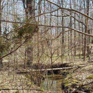 Photo #3 of 2647 PENNY LN, CHARLOTTESVILLE, VA 28.0 acres