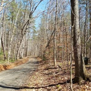 Photo #7 of 2647 PENNY LN, CHARLOTTESVILLE, VA 28.0 acres