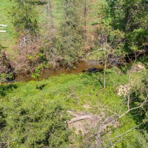 Photo #5 of TBD MICHAEL LN, ELKTON, VA 6.5 acres