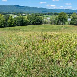 Photo #6 of TBD MICHAEL LN, ELKTON, VA 6.5 acres