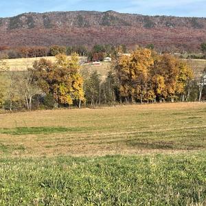 Photo #2 of TBD MICHAEL LN, ELKTON, VA 6.5 acres