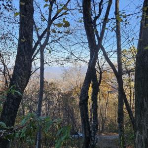 Photo #20 of TBD Lot 17 SPRING BRANCH LN, FREE UNION, VA 3.7 acres