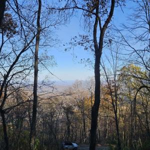 Photo #1 of TBD Lot 17 SPRING BRANCH LN, FREE UNION, VA 3.7 acres