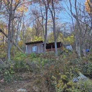 Photo #3 of TBD Lot 17 SPRING BRANCH LN, FREE UNION, VA 3.7 acres