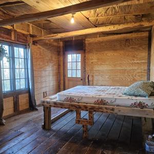 Photo #14 of TBD Lot 17 SPRING BRANCH LN, FREE UNION, VA 3.7 acres