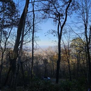 Photo #19 of TBD Lot 17 SPRING BRANCH LN, FREE UNION, VA 3.7 acres