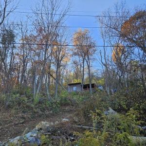 Photo #2 of TBD Lot 17 SPRING BRANCH LN, FREE UNION, VA 3.7 acres