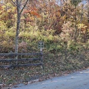 Photo #24 of TBD Lot 17 SPRING BRANCH LN, FREE UNION, VA 3.7 acres