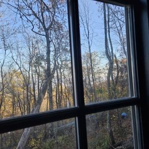 Photo #15 of TBD Lot 17 SPRING BRANCH LN, FREE UNION, VA 3.7 acres