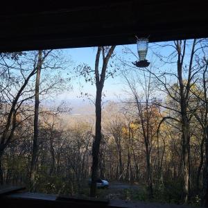 Photo #5 of TBD Lot 17 SPRING BRANCH LN, FREE UNION, VA 3.7 acres