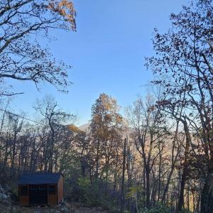 Photo #22 of TBD Lot 17 SPRING BRANCH LN, FREE UNION, VA 3.7 acres