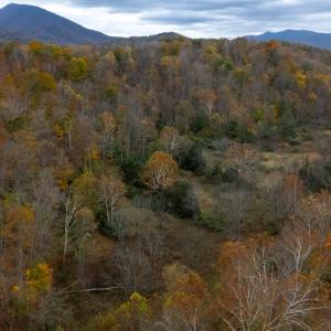 Photo #6 of 3441 MIDLAND TRL, LEXINGTON, VA 37.5 acres