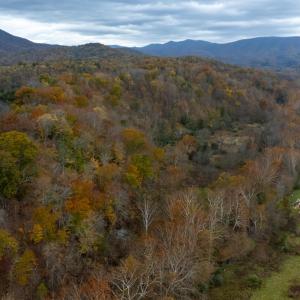 Photo #4 of 3441 MIDLAND TRL, LEXINGTON, VA 37.5 acres