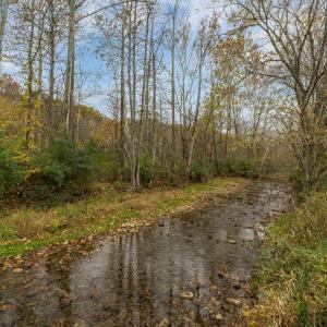 Photo #37 of 3441 MIDLAND TRL, LEXINGTON, VA 37.5 acres