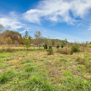 Photo #41 of 3441 MIDLAND TRL, LEXINGTON, VA 37.5 acres