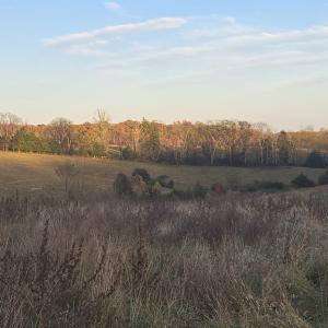 Photo #21 of OCTONIA RD, STANARDSVILLE, VA 55.4 acres