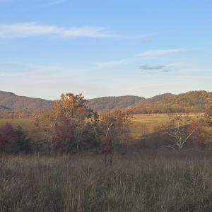 Photo #20 of OCTONIA RD, STANARDSVILLE, VA 55.4 acres