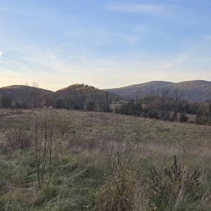 Photo #23 of OCTONIA RD, STANARDSVILLE, VA 55.4 acres