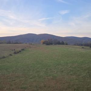 Photo #29 of OCTONIA RD, STANARDSVILLE, VA 55.4 acres