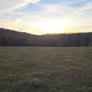 Photo #25 of OCTONIA RD, STANARDSVILLE, VA 55.4 acres