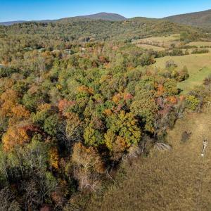 Photo #10 of OCTONIA RD, STANARDSVILLE, VA 55.4 acres