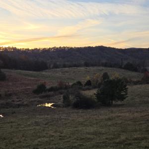 Photo #36 of OCTONIA RD, STANARDSVILLE, VA 55.4 acres