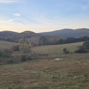 Photo #24 of OCTONIA RD, STANARDSVILLE, VA 55.4 acres